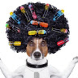 Meet your Posher, Kendra